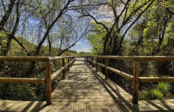 Comment faire de l'écotourisme depuis un camping de Bergerac ?